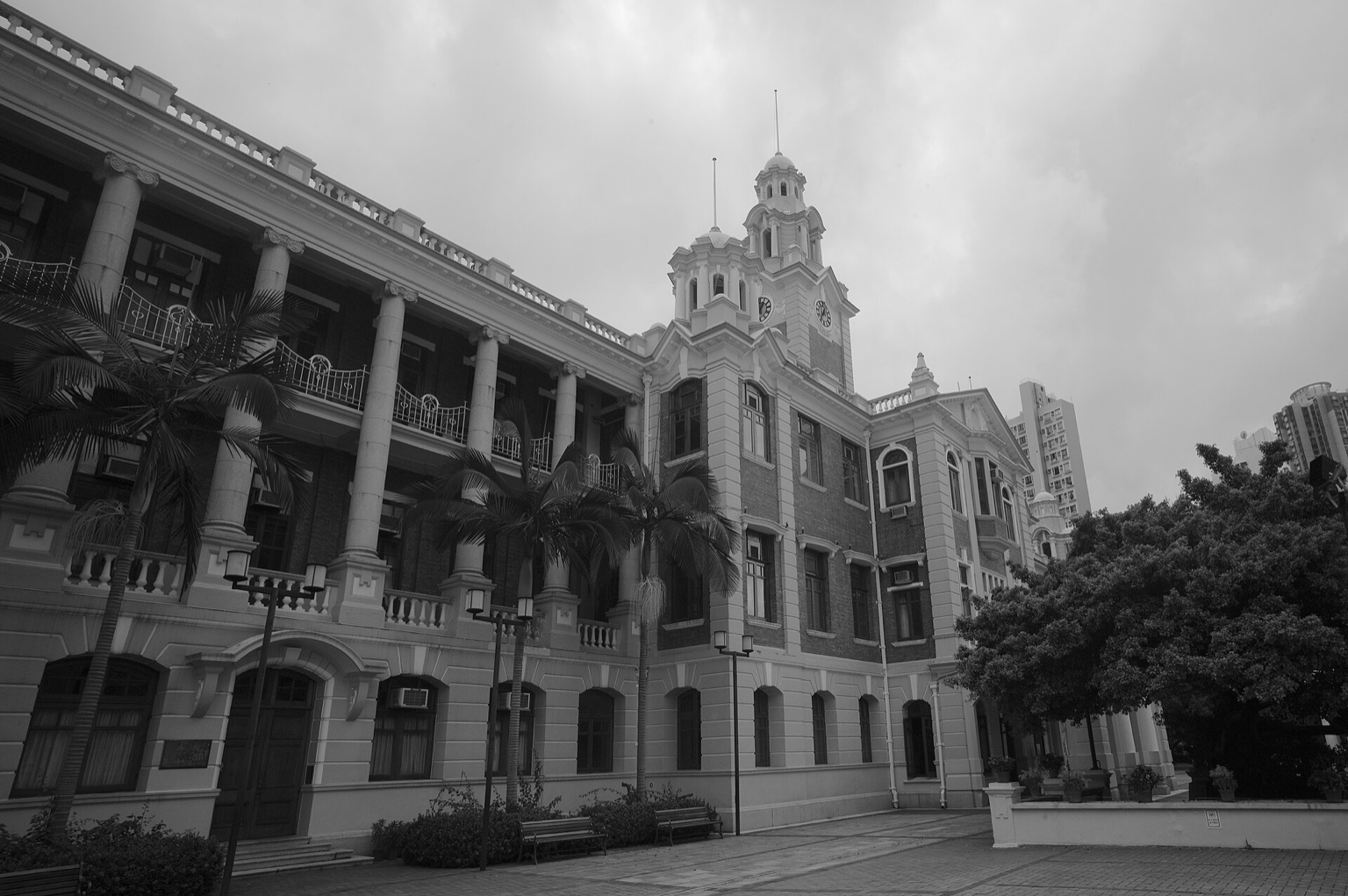 香港大學本部大樓的黑白实景照片，保留拱廊、钟楼、棕榈树和城市建筑细节，作为境外账户资料整理的克制机构场景。